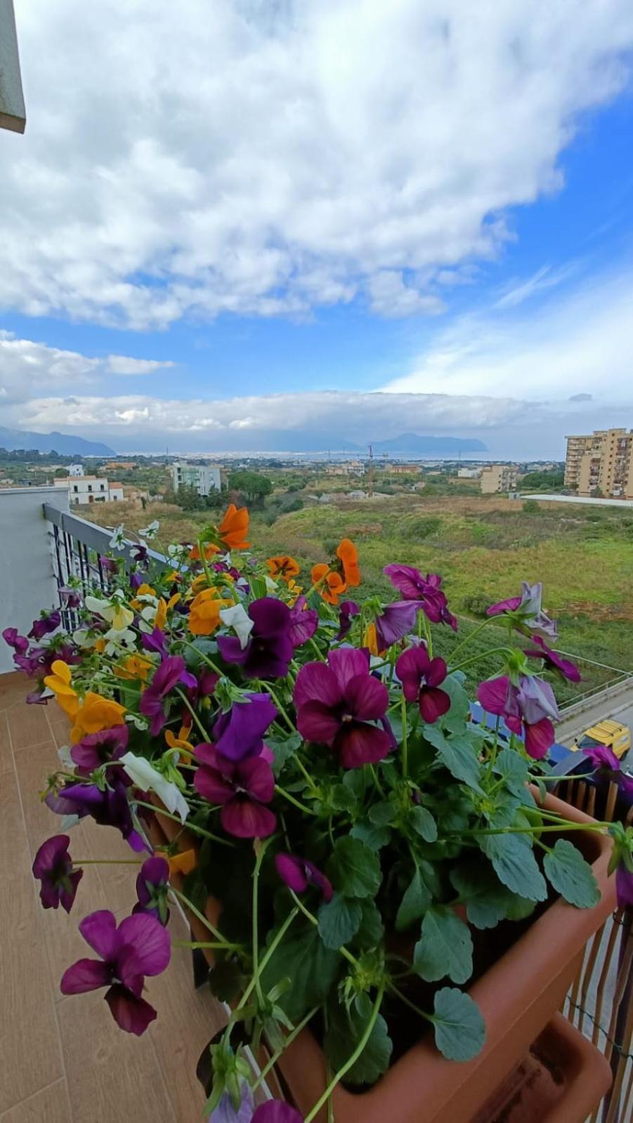 B&B Margherita Bagheria Luaran gambar